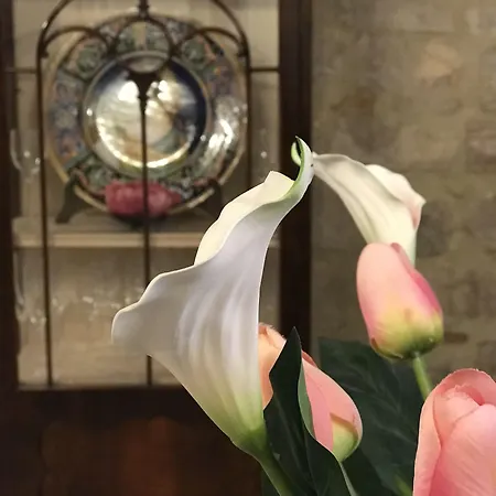 Guest house Residenza Teatro Antico Todi