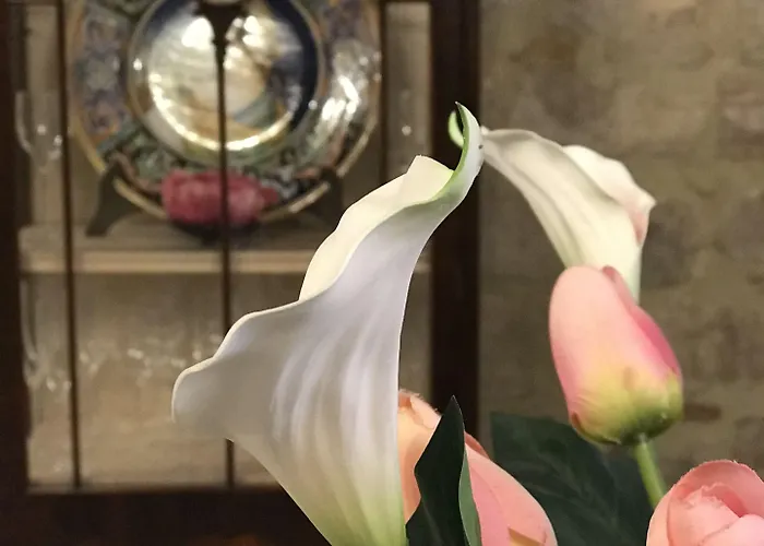 Pensjonat Residenza Teatro Antico Todi